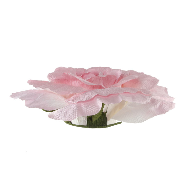 Rose avec autocollant, Rose