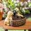Pot à fleurs Puppy