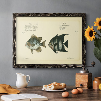 " Bloch Antique Fish II "