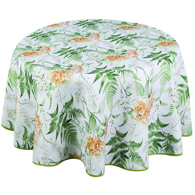 Nappe Wild Ferns