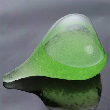 Orren Ellis Yanae Water Drop Weather Forecast Glass Bottle Crystal