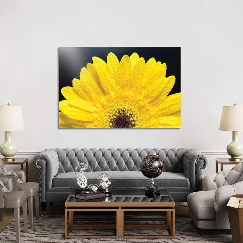 Yellow Gerber Daisy - Wrapped Canvas Print, 152.5 cm H x 101.5 cm W