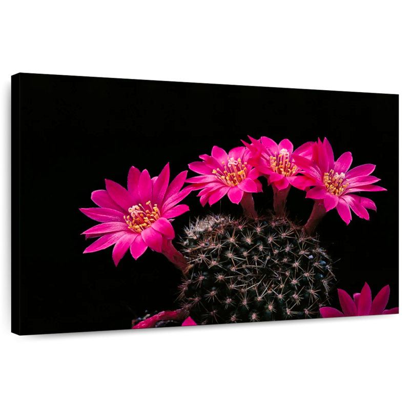 Fleurs de cactus roses Harnek