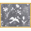 Flower Garden Gris Print by Paule Marrot-812847565-812847602
