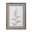 Framed Botanical Print