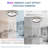 Daeron 20'' Flush Mount Ceiling Fan with LED Lights and Remote & APP Control