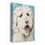 Toile tendue avec châssis de qualité supérieure Labradoodle II - Prêt à être accroché-1263312143