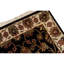 Wool Oriental Area Rug