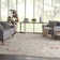 Oriental Indoor Rug