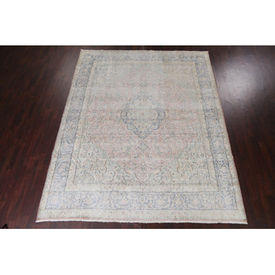 Muted Distressed  Traditional Area Rug 10x12