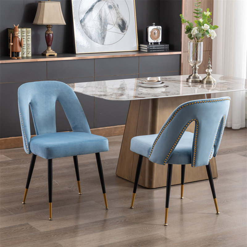 Dining Chair,dining room chair,dinning chair,kitchen chair, Light Blue, 2