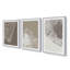 Ensemble de 3 gravures Timeless Grains-1513744382-1513744361