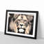 Lion - Picture Frame Graphic Art Print-56859970-56859971