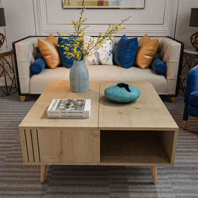 Aidtya Coffee Table with Storage