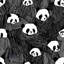 Rouleau de papier peint mural Panda-2120513997