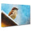 Sparrow Bird Vol.2 - Wrapped Canvas-61849599