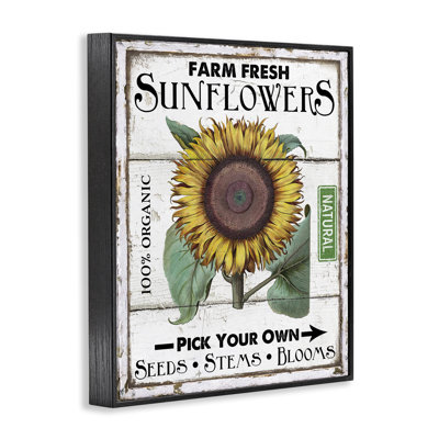 Rustic Farm Fresh Sunflowers Giclee Art by Creatif Belle