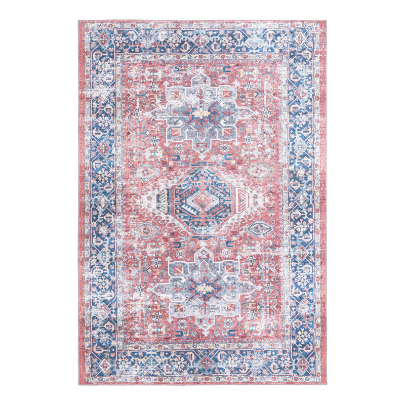 Nolie Oriental Indoor Rug, Rectangle 6' x 9'