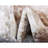 Coblitz Oriental Indoor Rug-1184956166