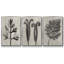 Blossfeldt Botanical I 3 pièces-97758449-97758454