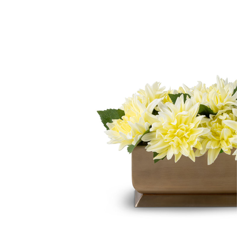Auge dorée Carlotta RealTouch Dahlia, Citrine
