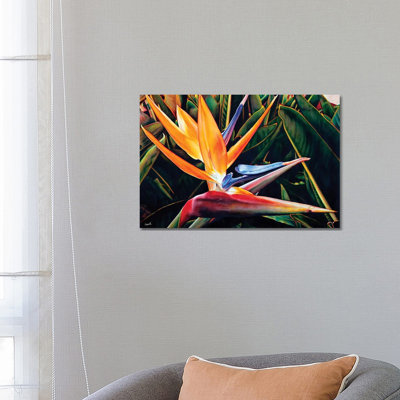 Weekend Catalina by Lisa Lopuck - Wrapped Canvas Print