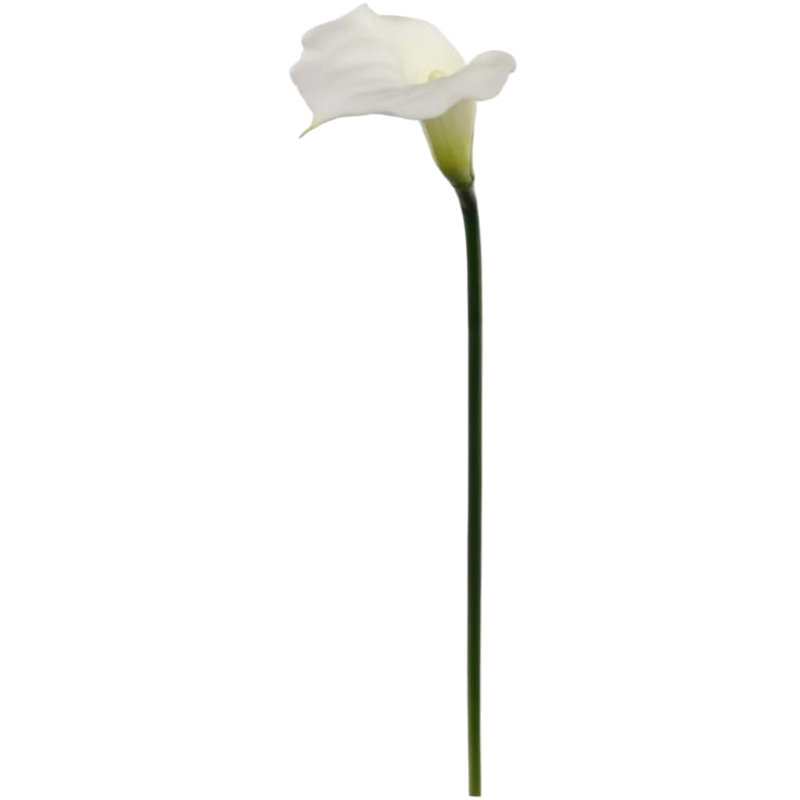 21" Real Touch Calla Lily Stem - 6 Pack