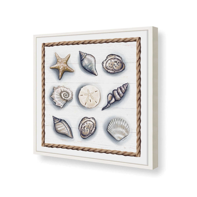 «Beach Shells II» par Elizabeth Tyndall, reproduction d'art, L 30 po x H 30 po, Impression encadrée, Blanc