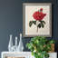 Red Botanical III - cadre photo, impression sur toile-61317223-61317224