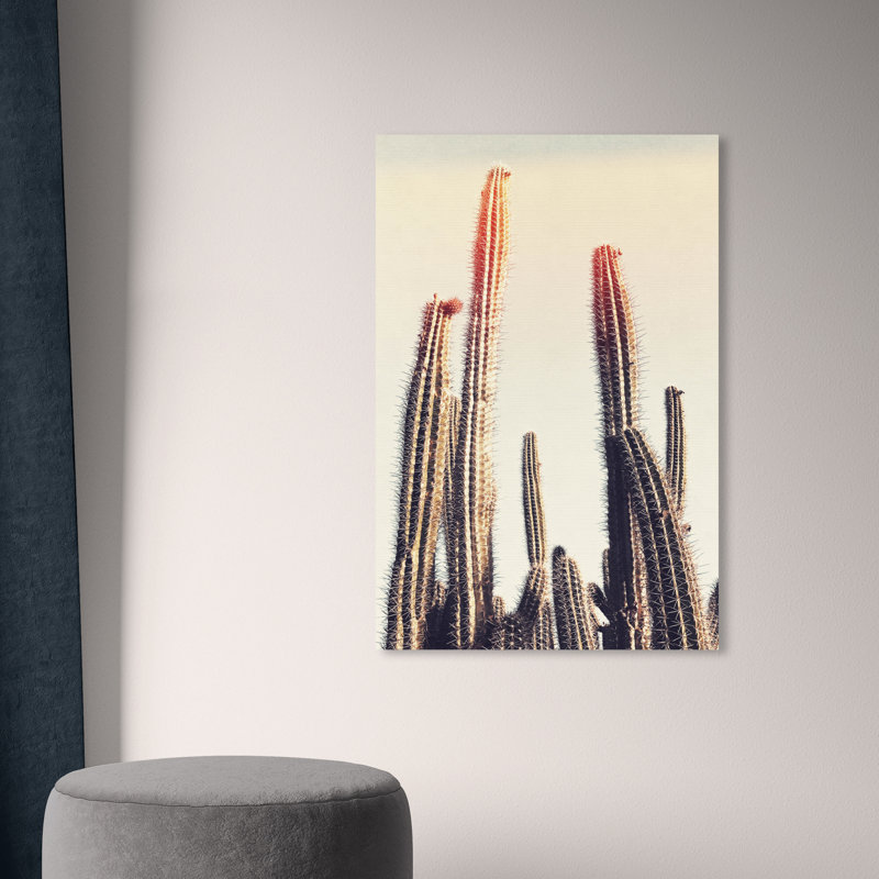 Cactus Lighting Bright Botanicals - reproduction de photo, H 15 po x l 10 po x P 1,5 po, Toile tendue