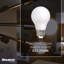 9 Watt (60 Watt Equivalent), A19 LED, Milky Dimmable Light Bulb, E26/Medium (Standard) Base-1353816584