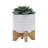 Natacha Stoneware Planter with Bamboo Stand - Ceramic Plant Pot with Raised Decorative Design, Modern Elevated Display-1110457960-1166807720