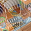 Cage à hamster à 5 niveaux avec tubes et tunnels Pawhut