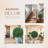 2pcs Artificial Boxwood Ball 22 Inch-1508446019