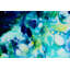 'English Gardens' - Wrapped Canvas Painting