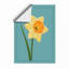Daffodil in Bloom Botanical - Framed Print-712131514-712131515