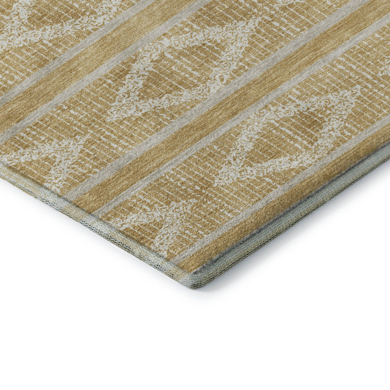 Tapis géométrique de qualité supérieure lavable à la machine Diskin AMF1029, Rectangle 10 pi x 14 pi
