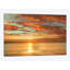 John Seba - Wrapped Canvas Print-32996510