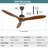Ajenae 51.96'' Ceiling Fan