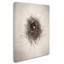 " Nest I " by Debra Van Swearingen-31454020