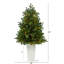 Washington 3.5' Green Artificial Christmas Tree with 50 Clear Lights