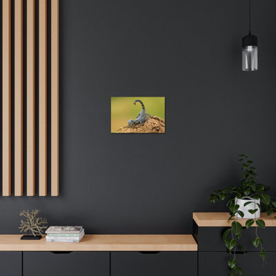 Art mural majestueux Scorpion
