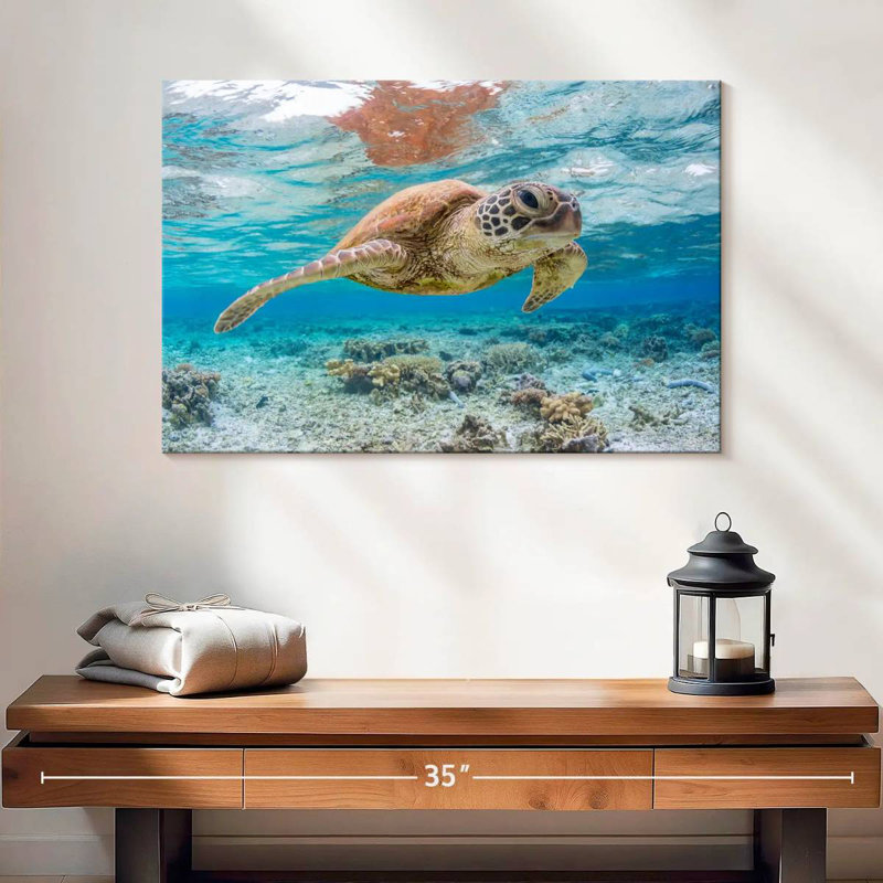 Brampt Galapagos Island Turtle, 16" H x 24" W