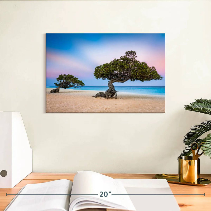 Harnek Divi Divi Trees, 8" H x 12" W