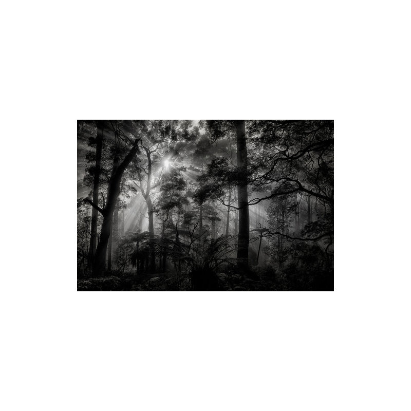Wrapped Canvas Print, 50.8 cm H x 76.2 cm W