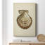 Collection Sealife VII, impression sur toile tendue-377050843
