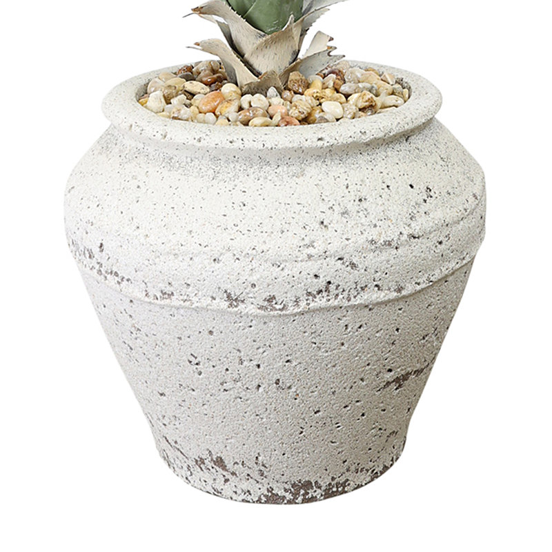 Yucca en pot de pierre avec pierres