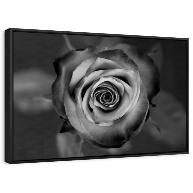 Floral et botanique «Black White Rose», H 29 po x l 43 po