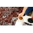 Rany Oriental Indoor Rug-788687482