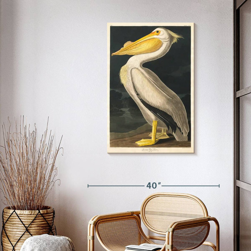«American American Pelican From Birds Of America», reproduction sur toile, H 39 po x l 26 po x P 1,25 po